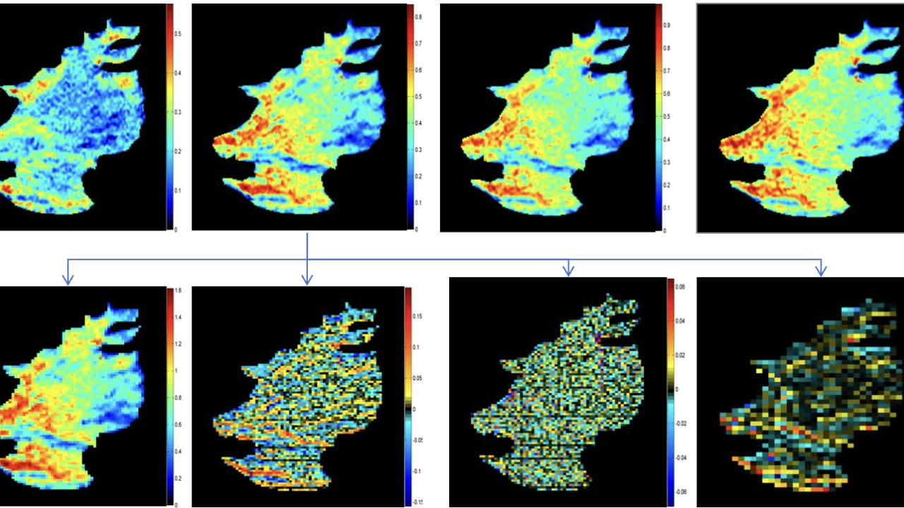 Computational Biomarker Imaging Group (CBIG) | Columbia Department of ...