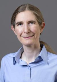 Dorothy A Sippo, MD, MPH Profile Headshot